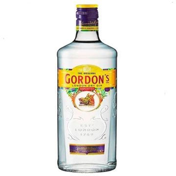 Garrafa de Gordon's